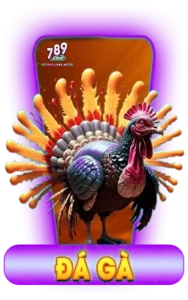 đá gà 789club 2025